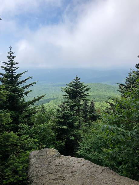 istock View from Table Mountain in Catskill Mountains in June in New York State. 2225124264