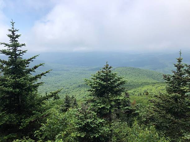 istock View from Table Mountain in Catskill Mountains in June in New York State. 2225124269