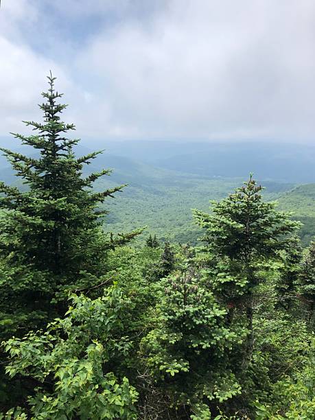 istock View from Table Mountain in Catskill Mountains in June in New York State. 2225124286