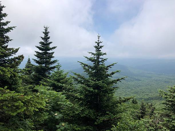 istock View from Table Mountain in Catskill Mountains in June in New York State. 2225124289