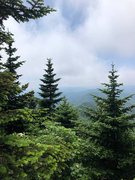istock View from Table Mountain in Catskill Mountains in June in New York State. 2225124292