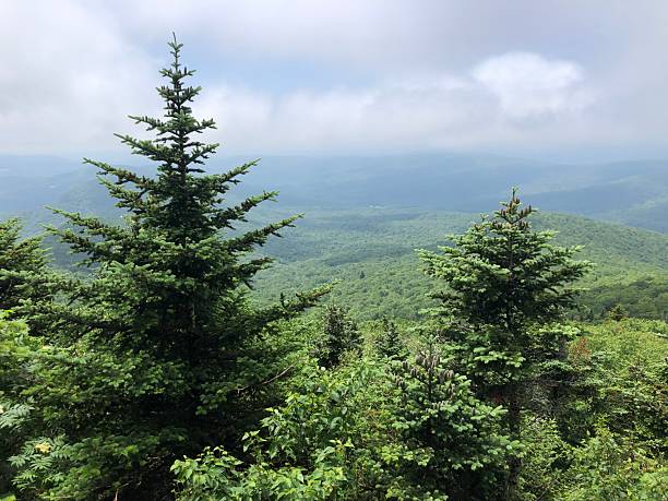 istock View from Table Mountain in Catskill Mountains in June in New York State. 2225124294