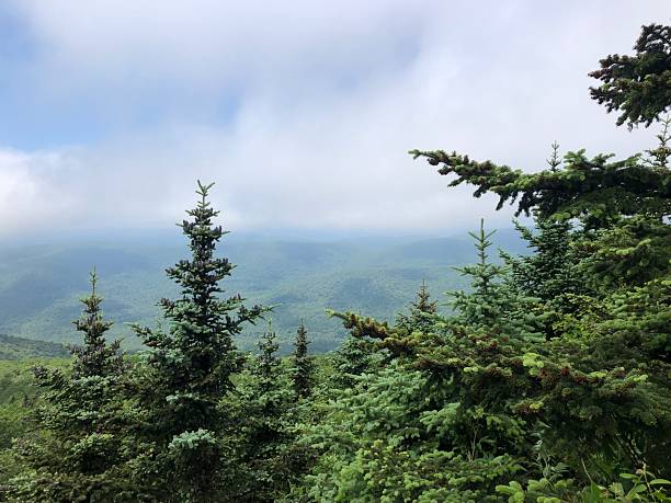 istock View from Table Mountain in Catskill Mountains in June in New York State. 2225124297