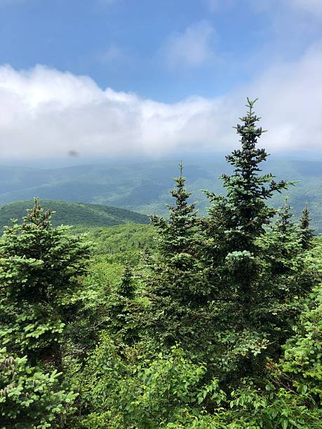istock View from Table Mountain in Catskill Mountains in June in New York State. 2225124302