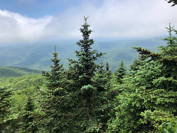 istock View from Table Mountain in Catskill Mountains in June in New York State. 2225124303