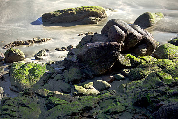 Prainha Branca beach, Guarujá beach, Brazil. Early morning light on beach sand and rocks