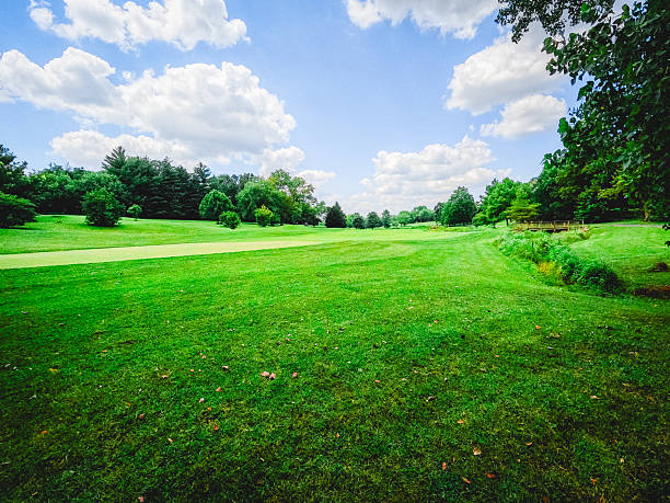 istock Green Space Summer Scene with Cloudy Blue Summer Sky 2225125354