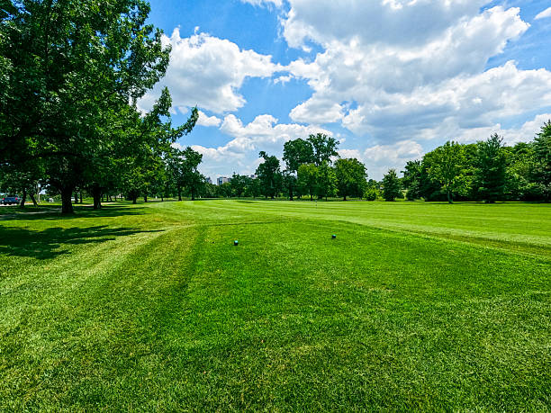 Golf Course Green Space at City Park