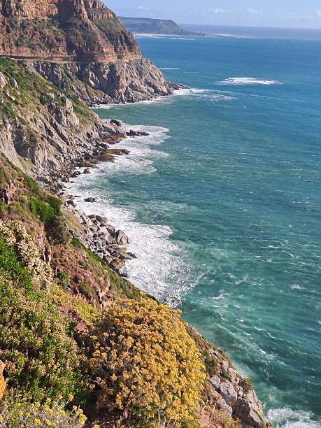 istock Atlantic coast of South Africa 2225127300