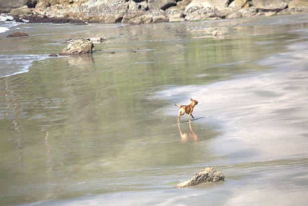 Enjoyment of free playing outdoors, sunny summer day, light reflection on water