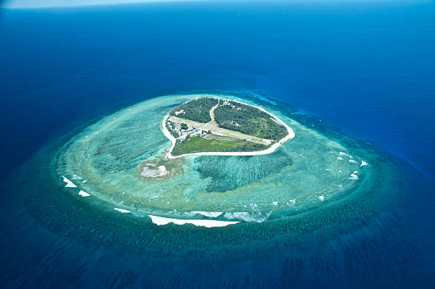 istock Lady Elliot Island 2225133419