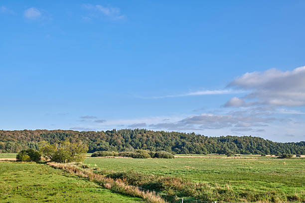 istock Scenic Landscape With Green Fields, Forested Hills, and Clear Blue Sky 2225133525