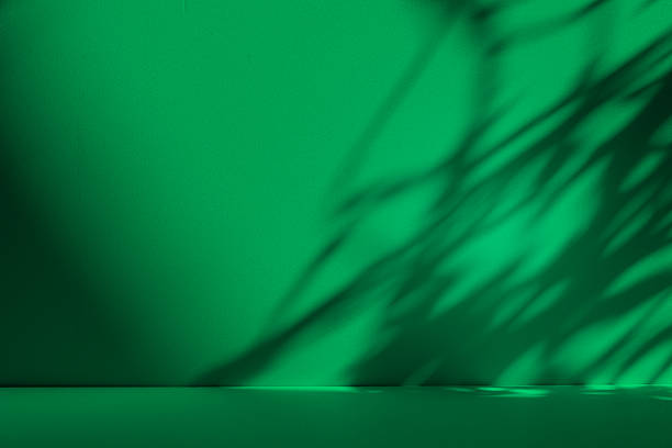 istock Studio style background wall decoration presentation uses white and green tones. with shadows cast from a nearby window, concept creating a decorative 2225139900