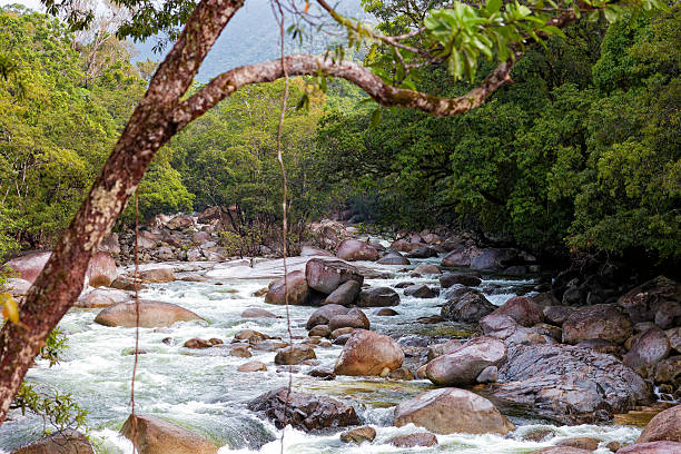 istock Port Douglas & North May 2024 2225141473