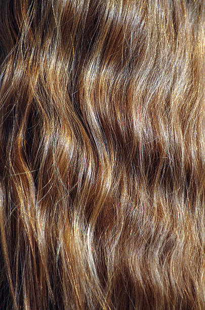 istock long brown hair as background 2225142542