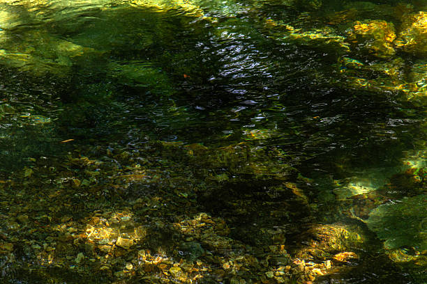 istock flowing water at the stream in the valley 2225145543