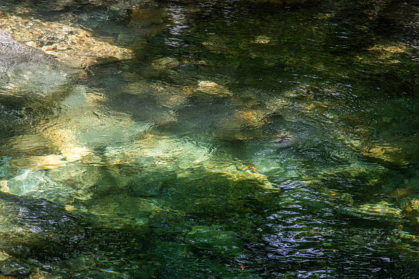 istock flowing water at the stream in the valley 2225145550