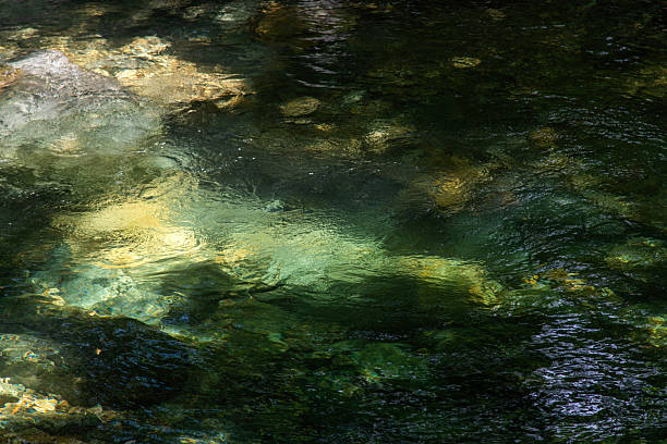 istock flowing water at the stream in the valley 2225145564