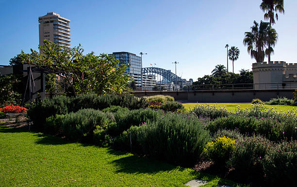 istock Sydney Harbour Bridge from Royal Botanic Garden 2225145827