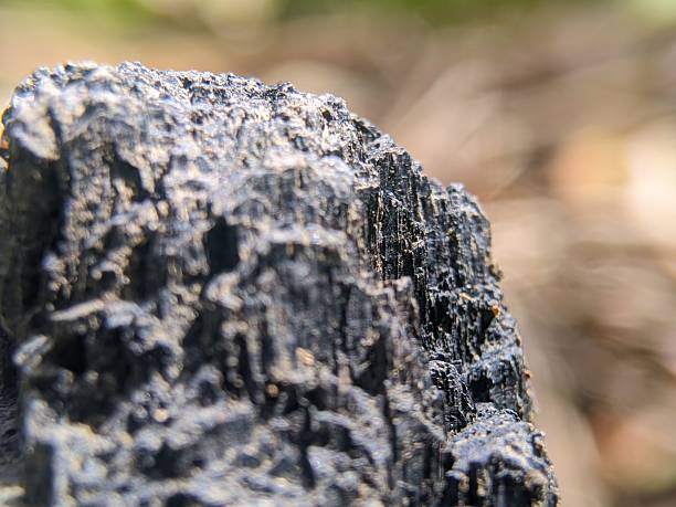 istock Close-Up Macro Shot of Burnt Wood Surface with Rough Texture 2225146335