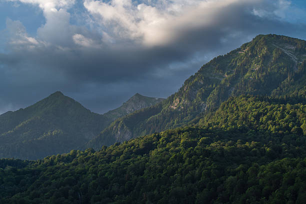 Serene forested mountain landscape beneath dramatic skies, showcasing the beauty of untouched nature and tranquility.