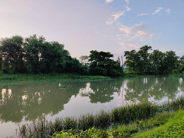istock Tranquil riverbank with lush greenery and reflections in calm water 2225149704