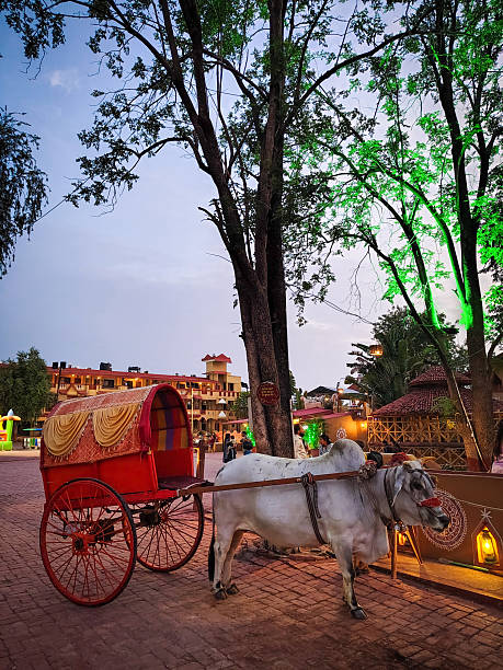 Indore, Madhya Pradesh, India - June 08, 2025: Ox with a traditionally painted cart.