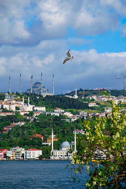 istock A beautiful view of the Camlica Mosque 2225161513