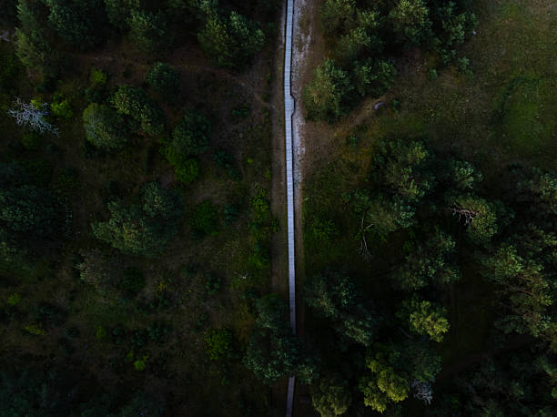 istock Aerial View of a Straight Pathway Dividing a Forested Area 2225165882