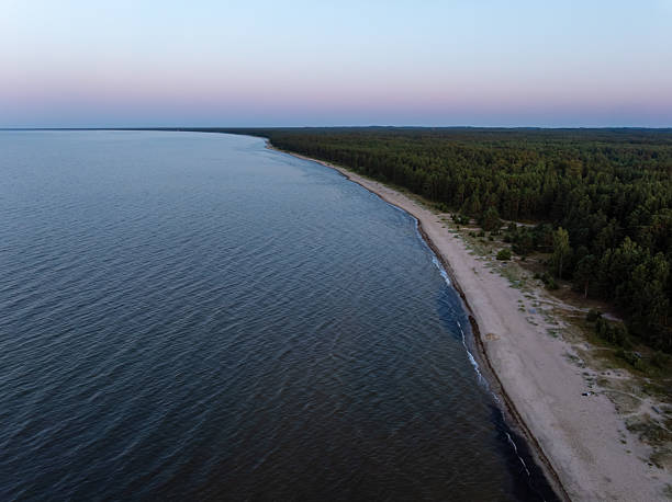 istock Coastline with Sandy Beach and Dense Forest at Sunrise or Sunset 2225165890