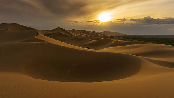 istock Landscape in desert at sunset 2225166059