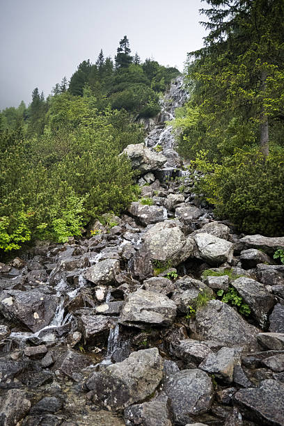 Mountain waterfall, falling water with a roar, mountain landscape.