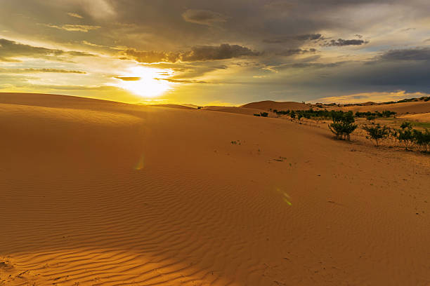 istock Landscape in desert at sunset 2225169748