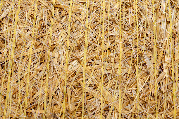 Detailed macro view of a tightly packed straw bale wrapped in plastic twine. The interwoven golden strands create a rich, organic texture, showcasing the structure and materiality of harvested agricultural residue. The image conveys a sense of rural simplicity and tactile natural patterns.