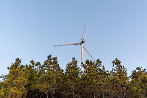 Filmed from a drone that climbs smoothly along the ridge, the image reveals rows of white turbines silhouetted against a pastel sunrise. Low mist pools in the folds of evergreen slopes, glowing amber where the sun touches it, while long shadows stripe the forest and the turbine blades sweep slowly through the air. The interplay of warm dawn light, drifting fog, and the rhythmic motion of the rotors creates a cinematic blend of power and serenity. Ideal for stock categories: sunrise landscapes, renewable energy, aerial cinematography, mountain scenery, environmental sustainability, and drone travel footage.