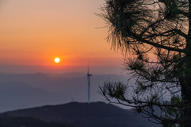 Filmed from a drone that climbs smoothly along the ridge, the image reveals rows of white turbines silhouetted against a pastel sunrise. Low mist pools in the folds of evergreen slopes, glowing amber where the sun touches it, while long shadows stripe the forest and the turbine blades sweep slowly through the air. The interplay of warm dawn light, drifting fog, and the rhythmic motion of the rotors creates a cinematic blend of power and serenity. Ideal for stock categories: sunrise landscapes, renewable energy, aerial cinematography, mountain scenery, environmental sustainability, and drone travel footage.