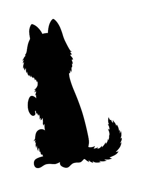 istock Cat silhouette. Black cat shape isolated on white background. Hand drawn illustration, flat design. Vector kitty plays 2225183445
