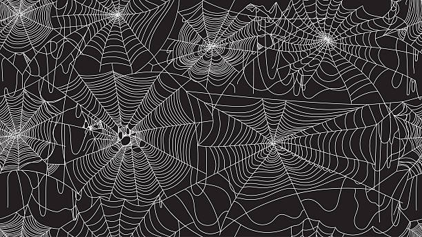 Spider Web Pattern Road 67,100+ Spider Web Pattern Stock Photos, Pictures & Royalty-Free Images ...