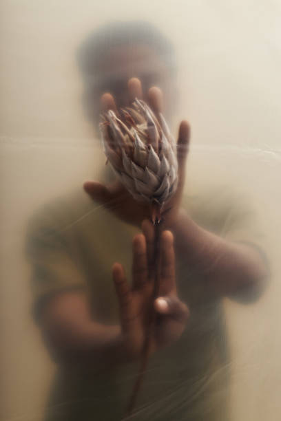 istock Young Black Man Holding Protea Flower Behind Translucent Surface 2225187141