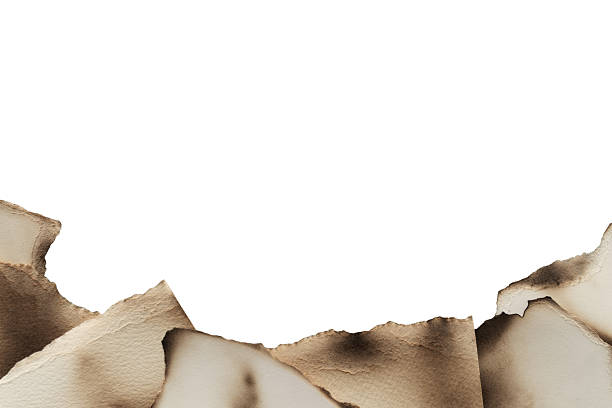 Brown And Beige Burnt Textured Paper Pieces
