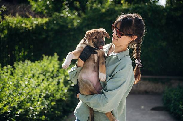 istock Woman is standing and holding cute dog 2225187878