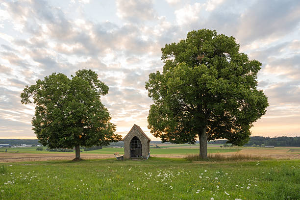 A small house stands between two trees in a field. There is a beautiful orange sky in the background.