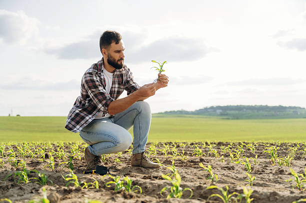 istock Man farmer is on the agricultural field 2225189464