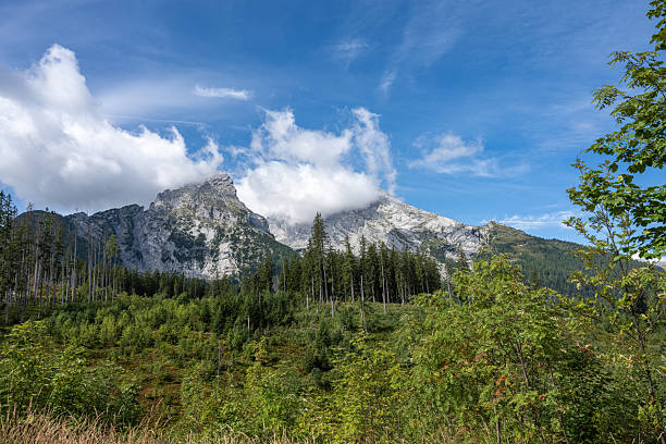 A sharp grey mountain against a blue sky with clouds, a green forest is visible in front. The weather is bright and sunny.