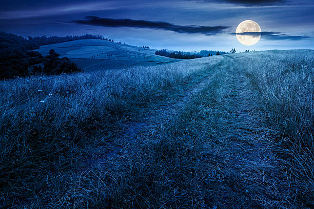 istock travel mountain landscape with path through meadow in summer at night 2225193738