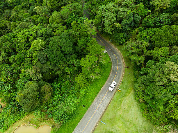 istock Green area with mountains and Atlantic Forest 2225194710