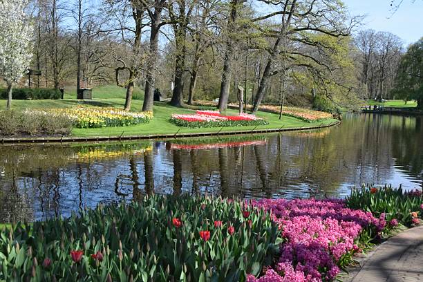istock Keukenhof park. 2225194830