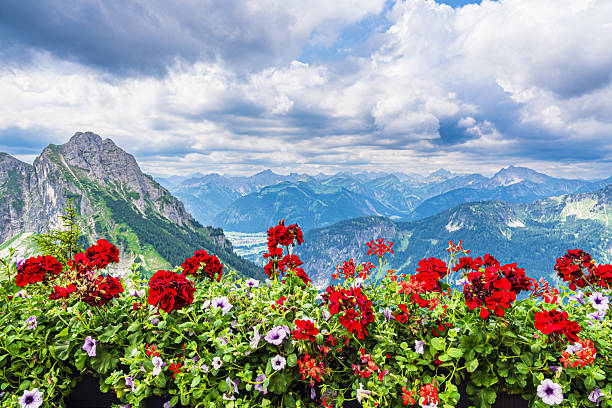View from the Breitenberg mountain to the Alps mountains near Pfronten, Germany.
