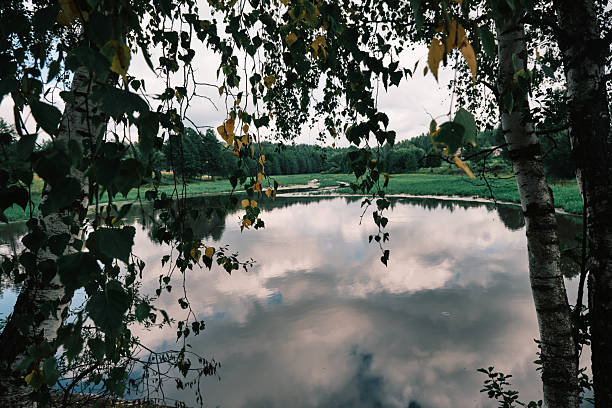 Blue lake with cloudy sky, natural background. Lake with forest on the shores at summer
