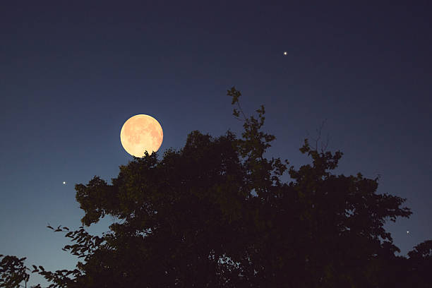istock Full Moon with stars, planets and rural countryside tree silhouettes. 2225203772